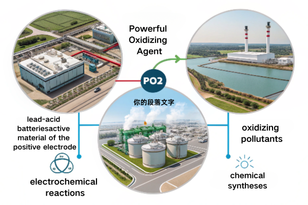 PbO2 electrode
