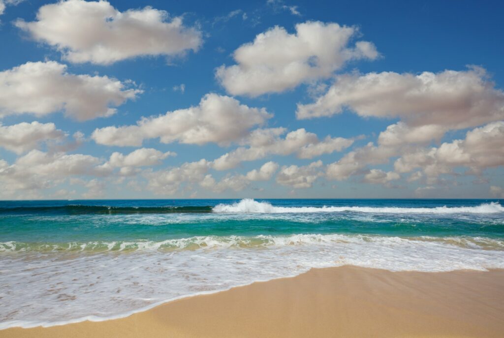 Wave