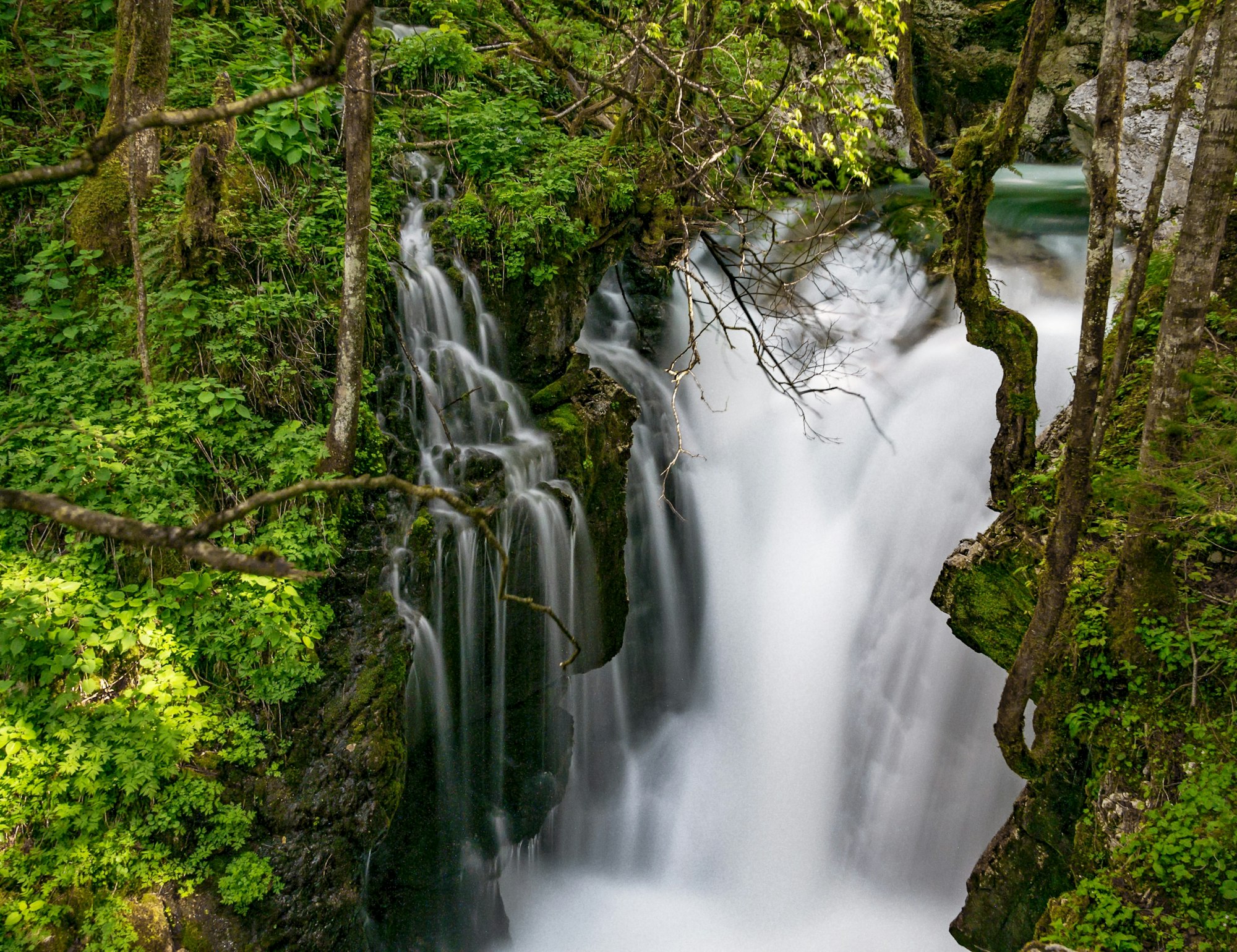 Long exposure photo of waterfall and cascades in lush green forest.