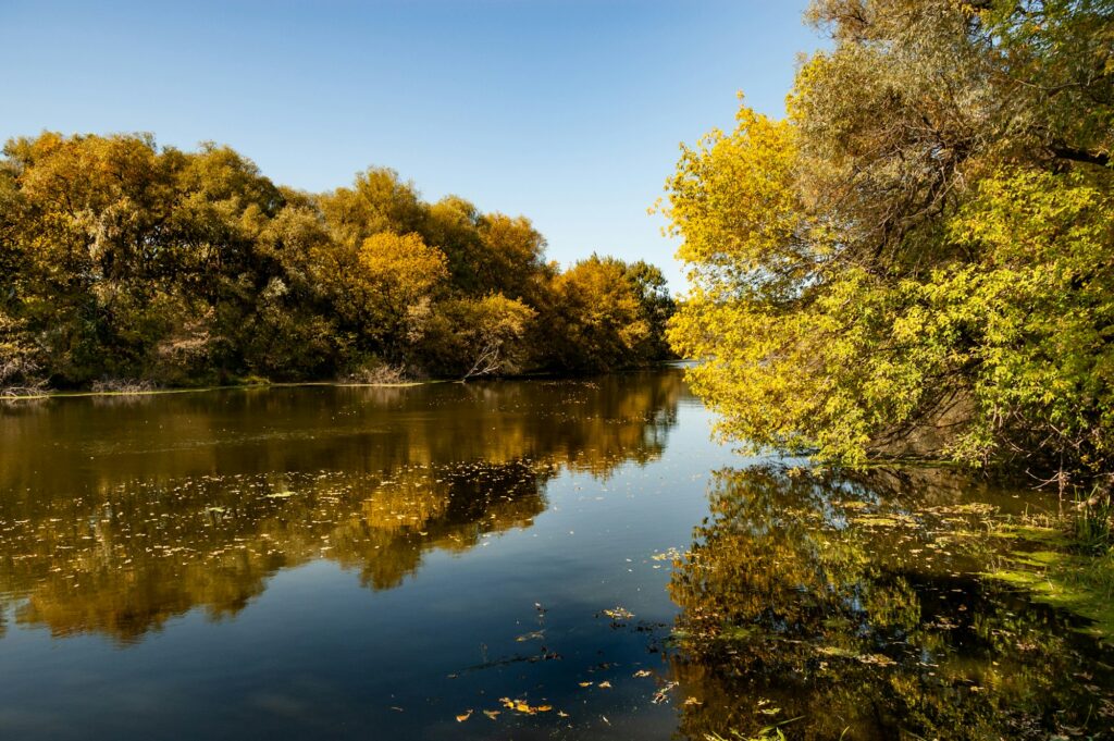 Picturesque landscape of a calm clean river