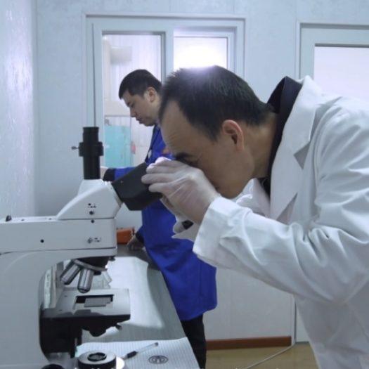 未命名的设计 (64)